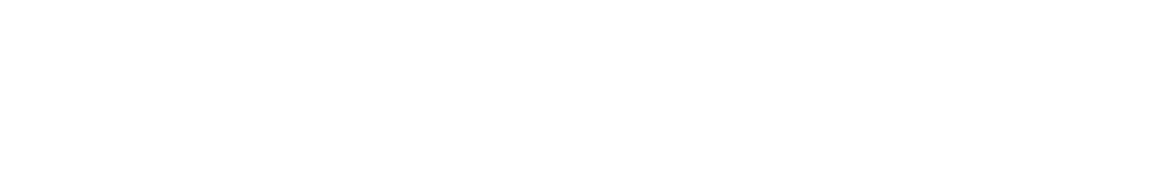 logo-per-footer.png